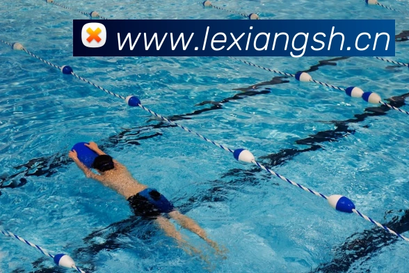 华体在线登录入口APP 封面图